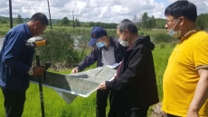 AG�ֻ��������(����)��ҳ���