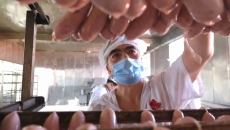 AG�ֻ��������(����)��ҳ���