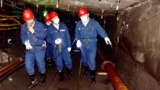 AG�ֻ��������(����)��ҳ���