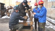 AG�ֻ��������(����)��ҳ���