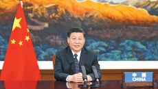 AG�ֻ��������(����)��ҳ���