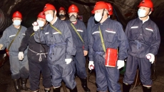 AG�ֻ��������(����)��ҳ���