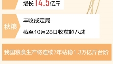 AG�ֻ��������(����)��ҳ���