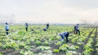 ΢��ͼƬ_20211112083417