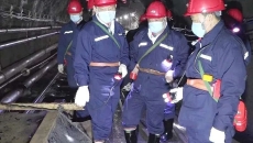 AG�ֻ��������(����)��ҳ���