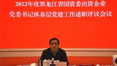 AG�ֻ��������(����)��ҳ���