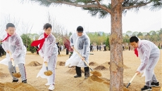 AG�ֻ��������(����)��ҳ���