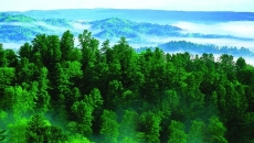 AG�ֻ��������(����)��ҳ���