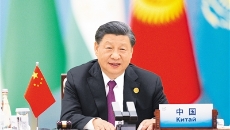 AG�ֻ��������(����)��ҳ���