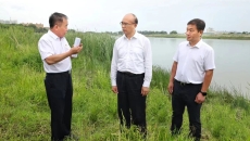 AG�ֻ��������(����)��ҳ���