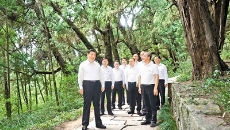 AG�ֻ��������(����)��ҳ���