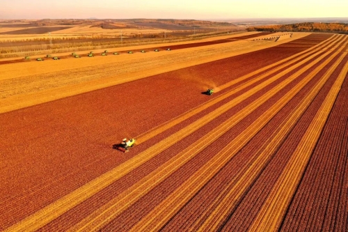 ΢��ͼƬ_20230910214324