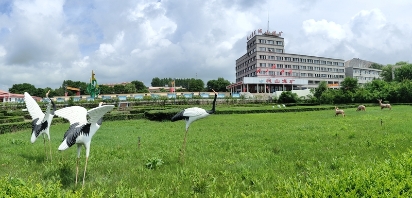 AG�ֻ��������(����)��ҳ���