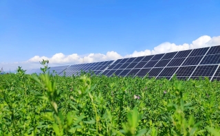 ΢��ͼƬ_20231013210855