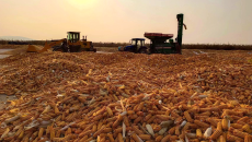 AG�ֻ��������(����)��ҳ���