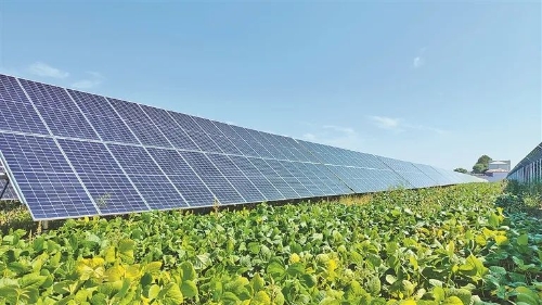 ΢��ͼƬ_20231031222816