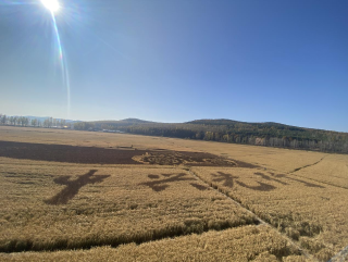 ΢��ͼƬ_20231102221830