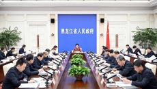 AG�ֻ��������(����)��ҳ���