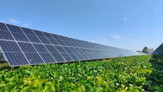 ΢��ͼƬ_20240110181758