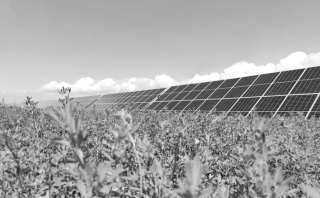 ΢��ͼƬ_20240202181227