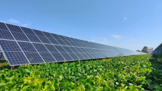 AG�ֻ��������(����)��ҳ���