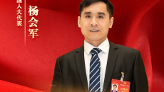 AG�ֻ��������(����)��ҳ���