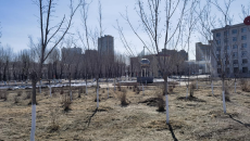 AG�ֻ��������(����)��ҳ���