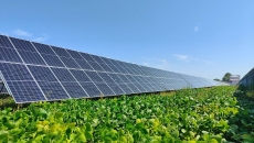 AG�ֻ��������(����)��ҳ���