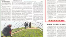 AG�ֻ��������(����)��ҳ���