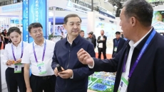 AG�ֻ��������(����)��ҳ���