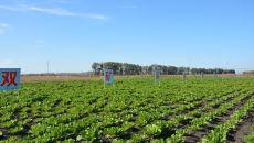 AG�ֻ��������(����)��ҳ���