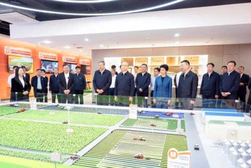 ΢��ͼƬ_20240524222619