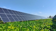 AG�ֻ��������(����)��ҳ���