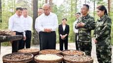 AG�ֻ��������(����)��ҳ���