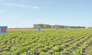 ΢��ͼƬ_20241021081443