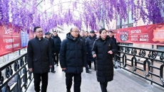 AG�ֻ��������(����)��ҳ���