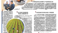 AG�ֻ��������(����)��ҳ���