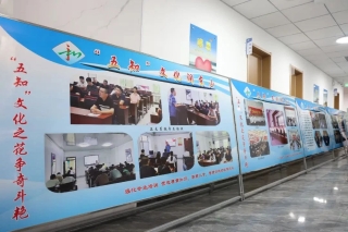 ΢��ͼƬ_20241219203311