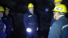 AG�ֻ��������(����)��ҳ���