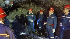 AG�ֻ��������(����)��ҳ���