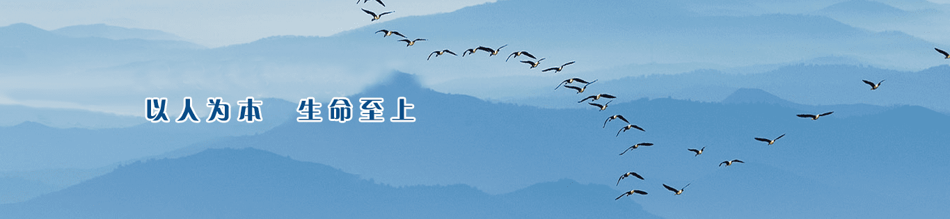 AG�ֻ��������(����)��ҳ���