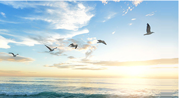 AG�ֻ��������(����)��ҳ���